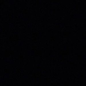 Meet your Posher, Lela